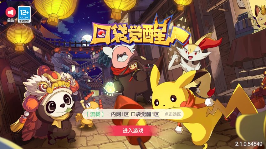 口袋觉醒9